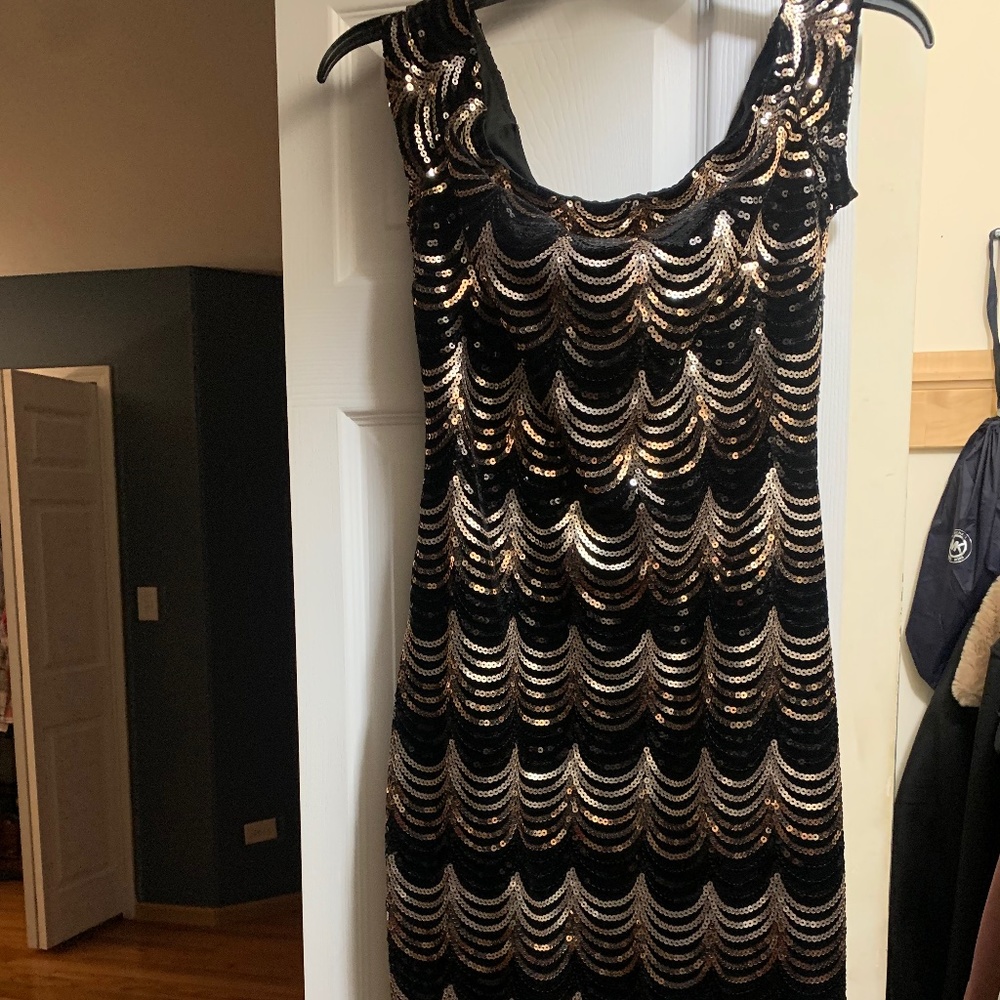 Premier Amour Velvet Sequins Dress